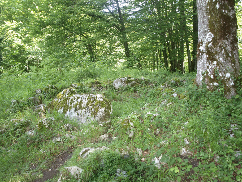 Dolmen de Lareo