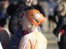 _IMG5931-800x531