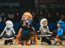 donostitik-carnaval-illunbe-2018-060