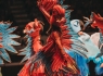 DSCF2047