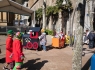 donostitik-carnaval-tolosa-2019-80