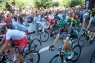 2019_0803_11335600-800x533
