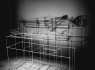 DSCF1407