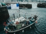 _IMG0988