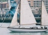 _DSF6883