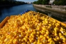 2019_0601_18594800-800x533