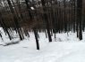 donostitik-nieve-01