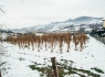 donostitik-nieve-aduna-02
