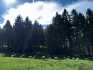 IMG-20211005-WA0006