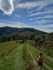 IMG-20211005-WA0011