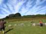IMG-20211005-WA0022