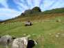IMG-20211005-WA0026