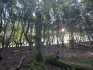 IMG-20211005-WA0029