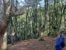 IMG-20211005-WA0039