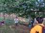 IMG-20211005-WA0050