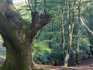 IMG-20211005-WA0052