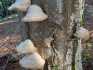 IMG-20211005-WA0054