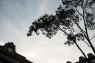 DSCF8194