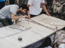 donostitik-aste-nagusia-abordaia-04