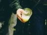 _IMG7858