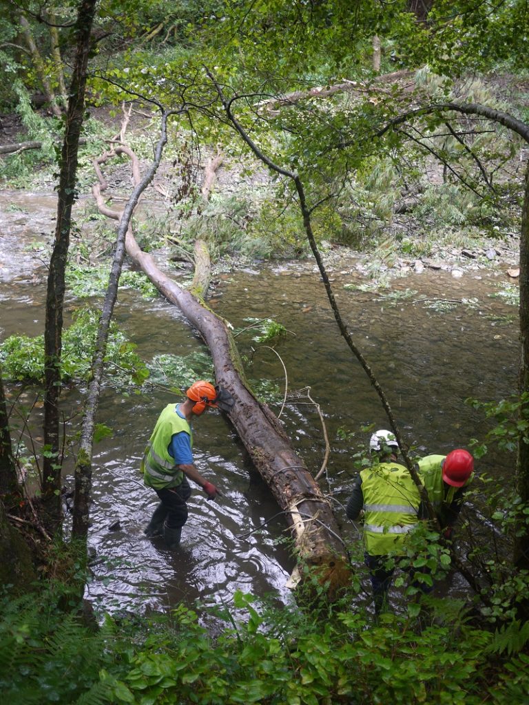 La Diputación culmina el proyecto de rehabilitación del hábitat fluvial de Leizaran 2 Leitzaran 2 La Diputación culmina el proyecto de rehabilitación del hábitat fluvial de Leizaran