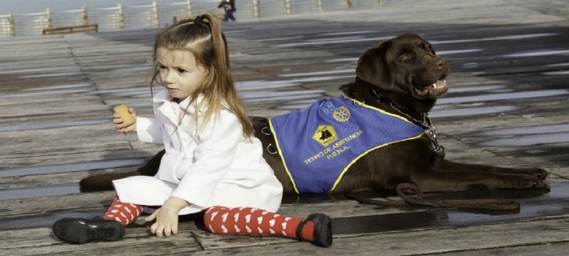 El Rotary financia proyectos como el de la niña con autismo que requería un perro adiestrado. Foto: Rotary