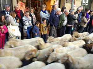 Cientos de visitantes disfrutan del Artzai Eguna de Ordizia 5 Artzai eguna 3