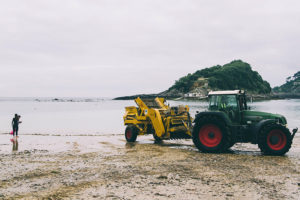 Comienza la retirada de piedras de Ondarreta 11 IMG9097 Comienza la retirada de piedras de Ondarreta