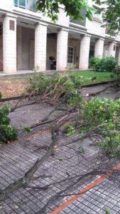 Tala en Mons. Foto: Eguzki