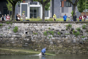Un can en el Urumea que no quería volver a tierra firme 4 IMG1076 Un can en el Urumea que no quería volver a tierra firme