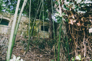 Foto: Santiago Farizano