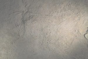 35160289724 fc77c28d18 k 300x200 - La cueva Arbil V, de Deba, también contiene arte Paleolítico