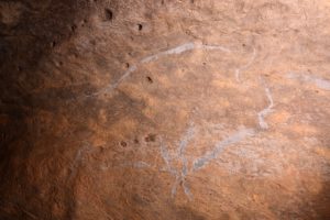 DSC 8813M 300x200 - La cueva de Aizbitarte 'escondía' bisontes y caballos paleolíticos con una conservación excepcional