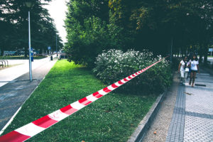 IMG7881 Un detenido tras una agresión con arma blanca en Amara