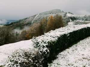 2017 11 30 10.12.29 1 800x600 300x225 - La nieve irrumpe en Gipuzkoa
