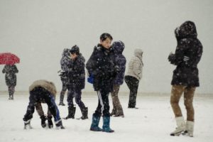 LRM EXPORT 20180228 092148 800x532 300x200 - Tremenda nevada en Donostia