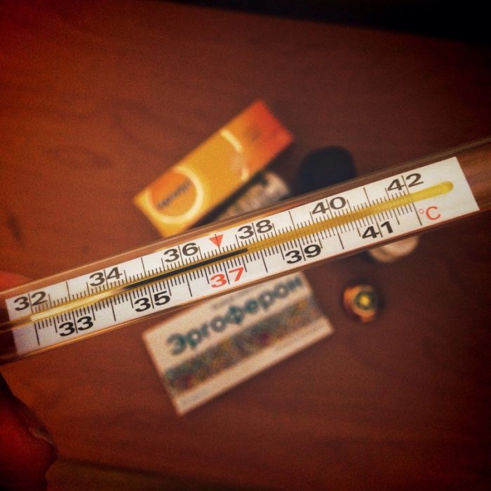 Fallecen 55 enfermos de gripe en lo que va de temporada en Euskadi 1 temperature 987012 1920 Fallecen 55 enfermos de gripe en lo que va de temporada en Euskadi