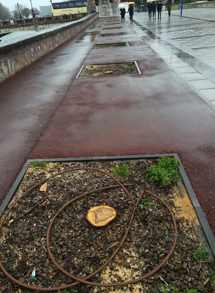 Eguzki denuncia "la eliminación de árboles del Paseo García Lorca" precisamente en La hora del planeta 16 Eguzki árboles Eguzki denuncia "la eliminación de árboles del Paseo García Lorca" precisamente en La hora del planeta