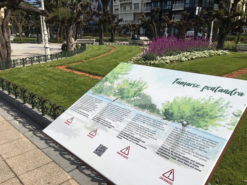 Unos paneles informarán (y advertirán) sobre los tamarices 1 tamarices Unos paneles informarán (y advertirán) sobre los tamarices