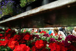 IMG4315 El público donostiarra se vuelca con el producto local