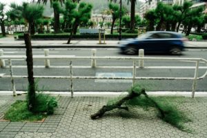 LRM EXPORT 20180612 182942 800x533 300x200 - Un accidente, desprendimientos y árboles caídos en Donostia