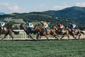 IMG0204 Hipódromo de San Sebastián: La Copa de Oro cumple 50 años y 'Cnicht' hace historia