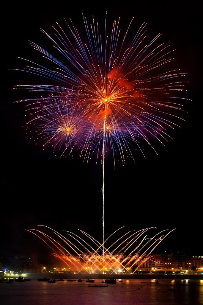 Sonia Urreizti, ganadora del IV Concurso Fotográfico de Fuegos Artificiales 13 flor Sonia Urreizti, ganadora del IV Concurso Fotográfico de Fuegos Artificiales