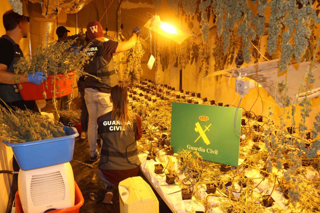Tres detenidos en Irun y Donostia con un cultivo de 1.725 plantas de marihuana 8 maria irun Tres detenidos en Irun y Donostia con un cultivo de 1.725 plantas de marihuana