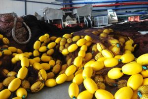 rederas2 Las rederas de Hondarribia estrenan instalaciones