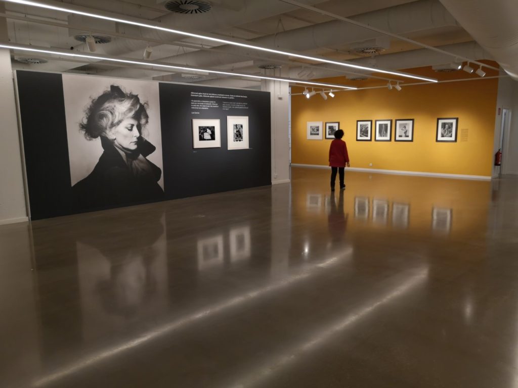 La sala Artegunea reúne los tesoros de la colección de Lola Garrido 1 Lola1 La sala Artegunea reúne los tesoros de la colección de Lola Garrido