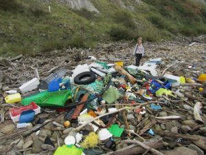 flysch3 Cerca de 200 personas limpian el flysch de Zumaia-Deba