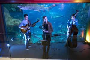 Basque Luxury Magazine plasma la oferta turística vasca más selecta en 200 páginas 3 DSF2415 Basque Luxury Magazine plasma la oferta turística vasca más selecta en 200 páginas