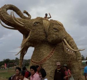Elefantepaja De Egia a la Tailandia rural: un trimestre en otro mundo