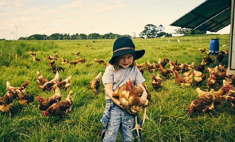 Kutxa Fundazioa abre la inscripción para sus colonias y talleres de primavera-verano 1 Foto portada Gaztedi 2019 k color Kutxa Fundazioa abre la inscripción para sus colonias y talleres de primavera-verano